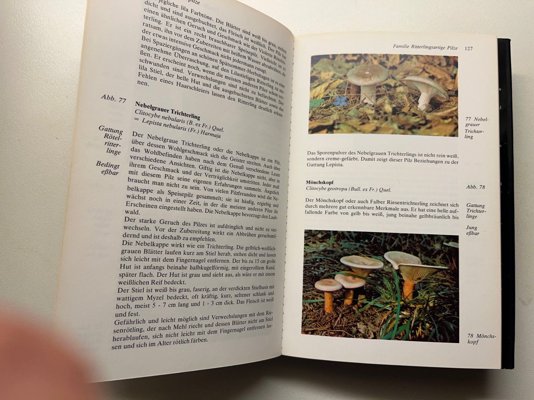 Libri: Gerhard Thamerus Keysers Pilzberater – Usato da Laufen venduto da Nuria44 8
