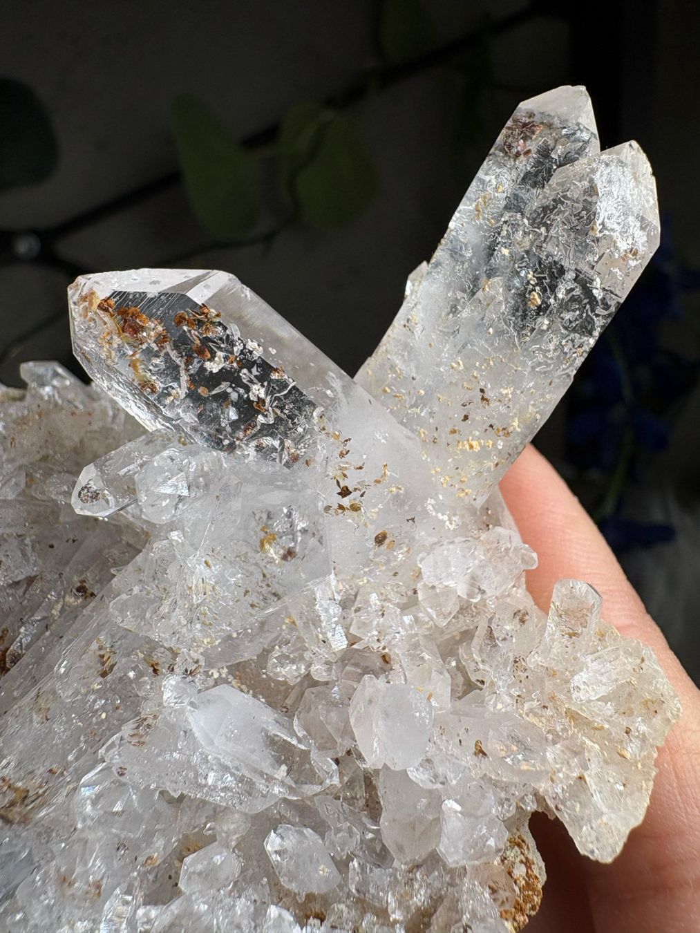 Minerali & Pietre curative: Quarz-Cluster – Nuovo (secondo la descrizione) da Neuheim venduto da m.hald 3