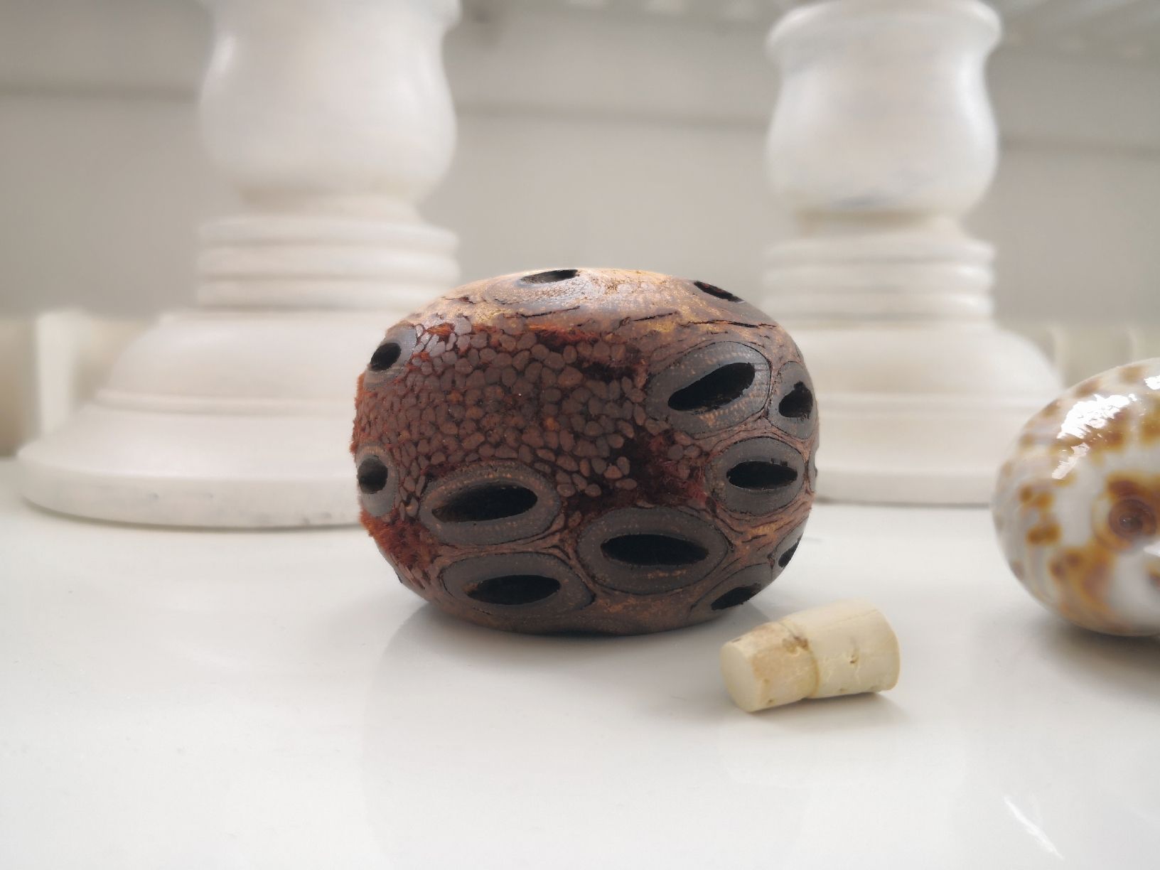 Tutte le decorazioni: 🤩BANKSIA ÄTHERISCHER ÖL DIFFUSER AUS AUSTRALIEN RAR – Nuovo (secondo la descrizione) da Olten venduto da Naja-Twins-Twins 7