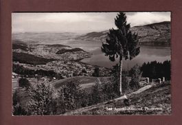 AESCHI-ALLMEND - Thunersee
