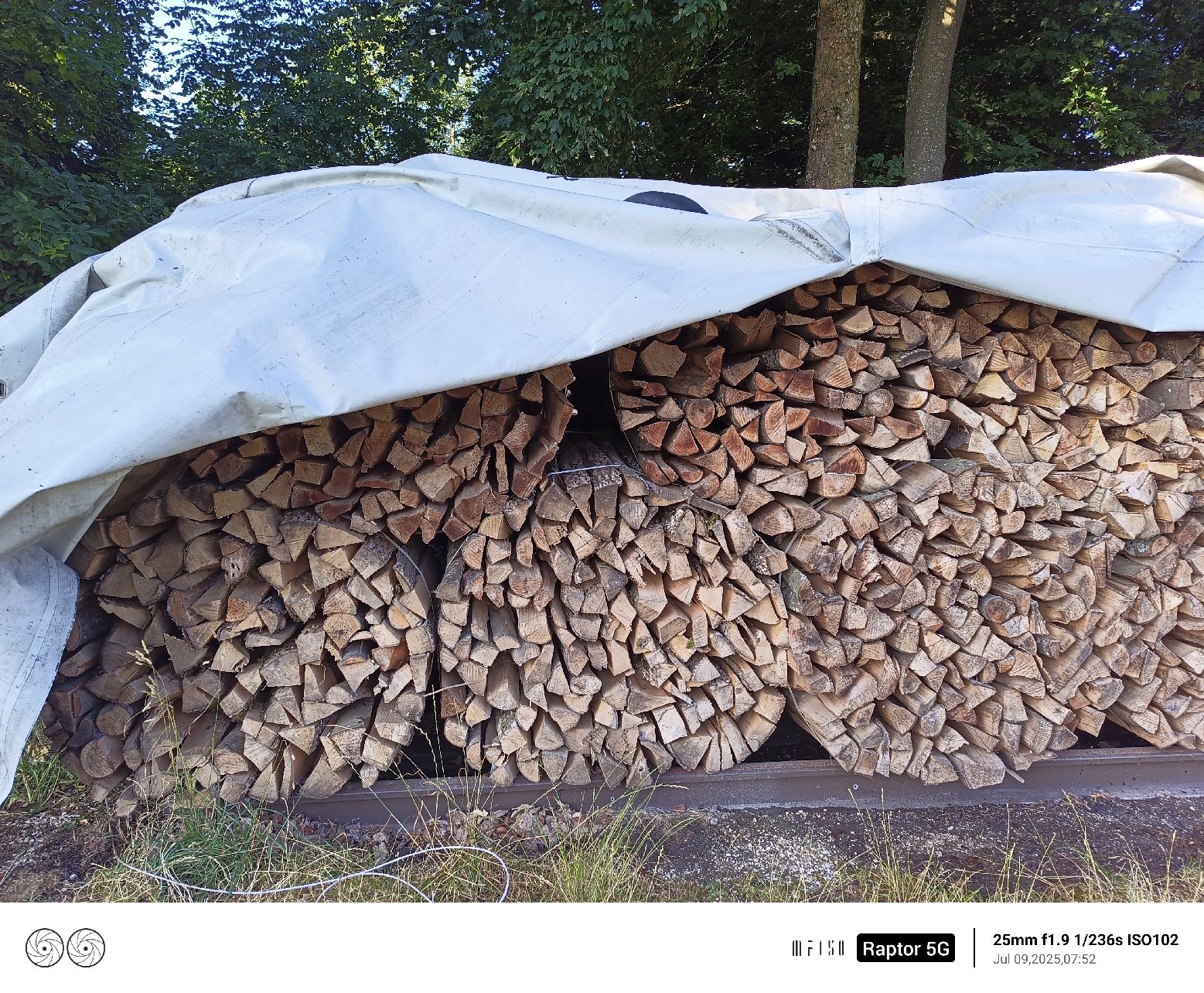 Articoli in legno: Brennholz – Nuovo (secondo la descrizione) da rumisberg venduto da Rbergler