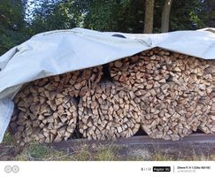 Brennholz