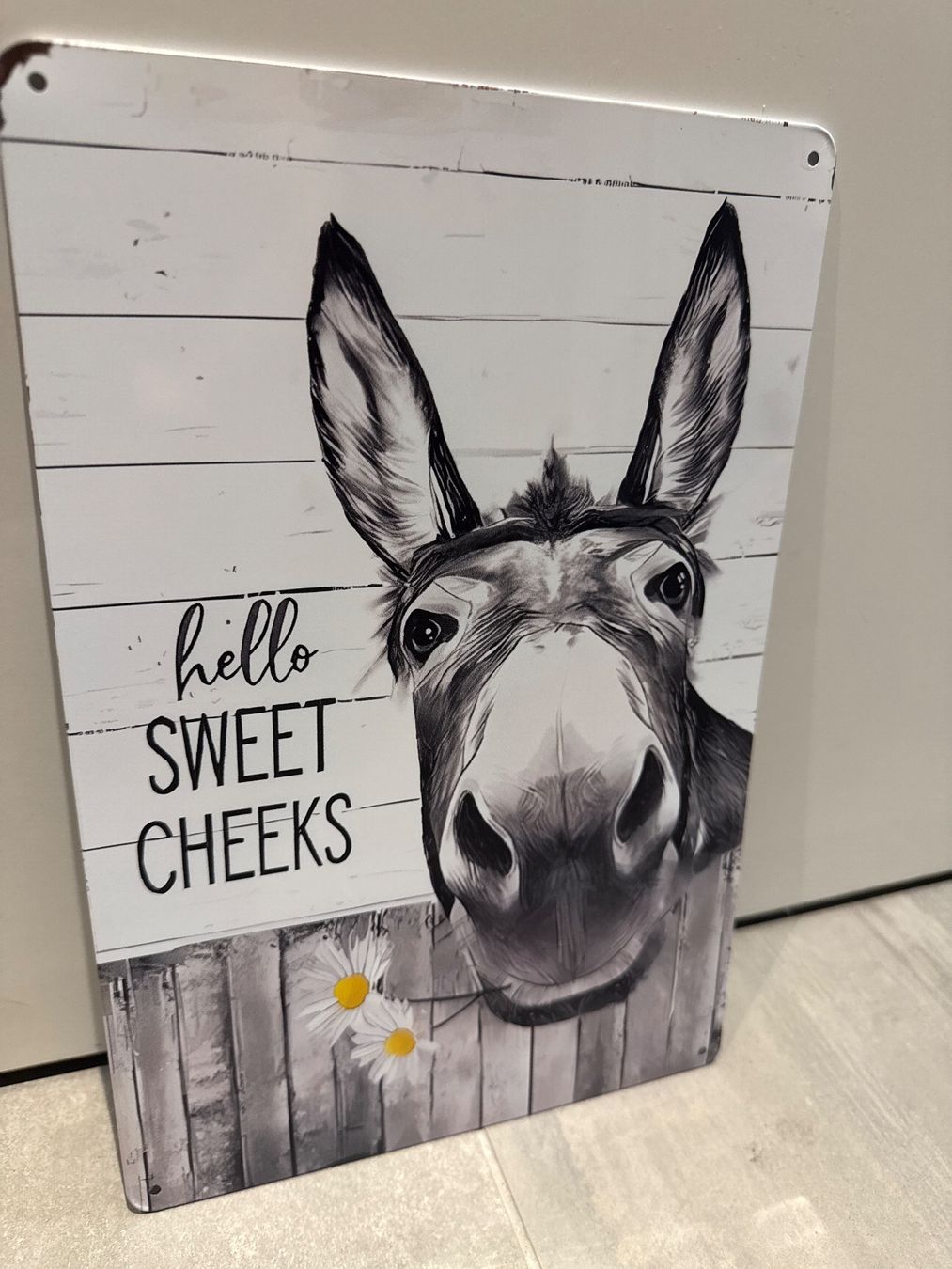 Ecriteaux: Hello SWEET CHEEKS / ANGEBOT METALL SCHILD – Neuf avec emballage d'origine à Seon par Aaargauer01 4