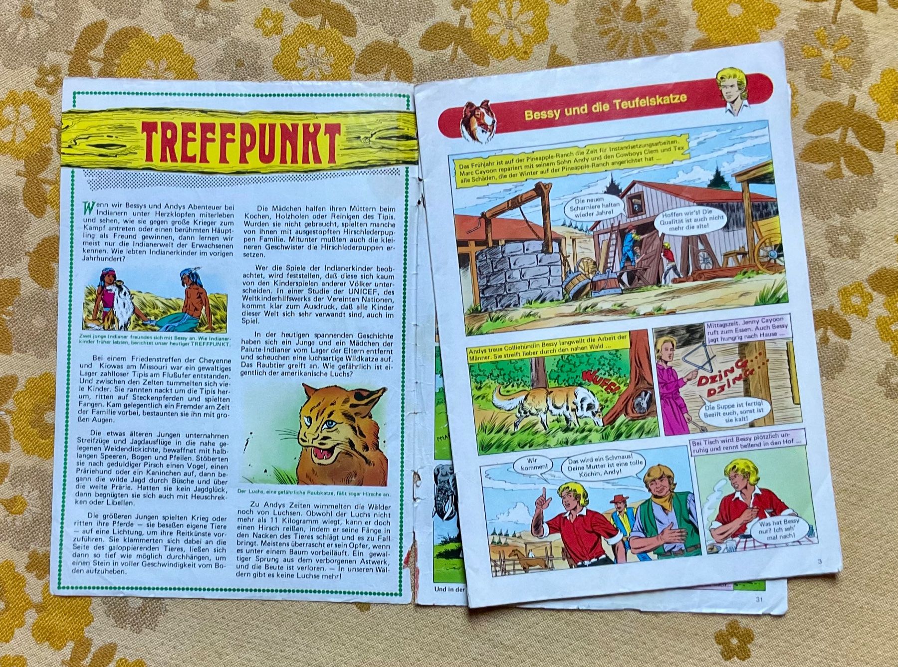 Fumetti: Bessy Heft Nr 798 von 1981 ? – Usato da Endingen venduto da nathan05 1
