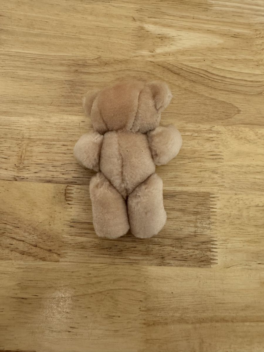 Giocattoli: Kleiner Teddybär hellbraun mit Schottenmuster ca 10 cm – Usato da Birsfelden venduto da inf_l2yy 1