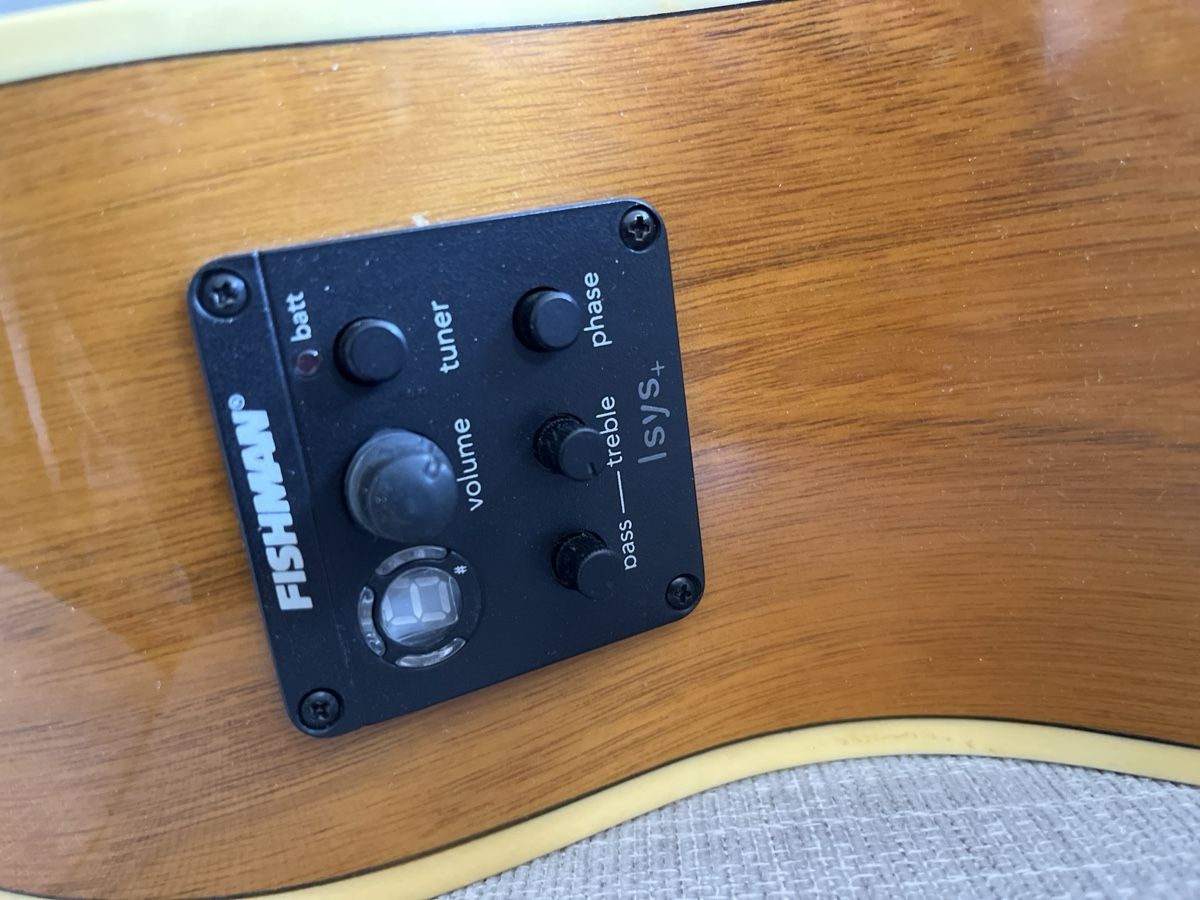 Strumenti musicali: Acustic Guitar Palmer – Usato da Genève venduto da dan_g2d7 3