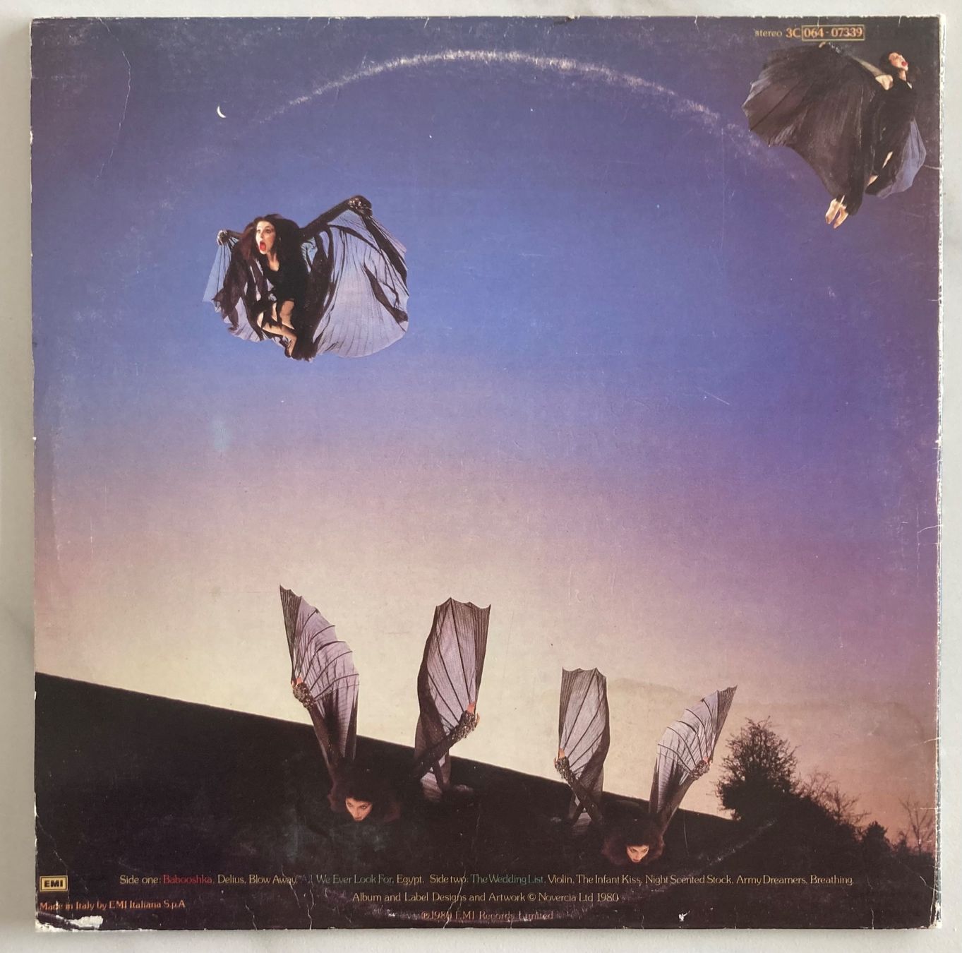 Dischi in vinile: KATE BUSH - NEVER FOR EVER – Usato da Poliez-Pittet venduto da Newtown-Records 1