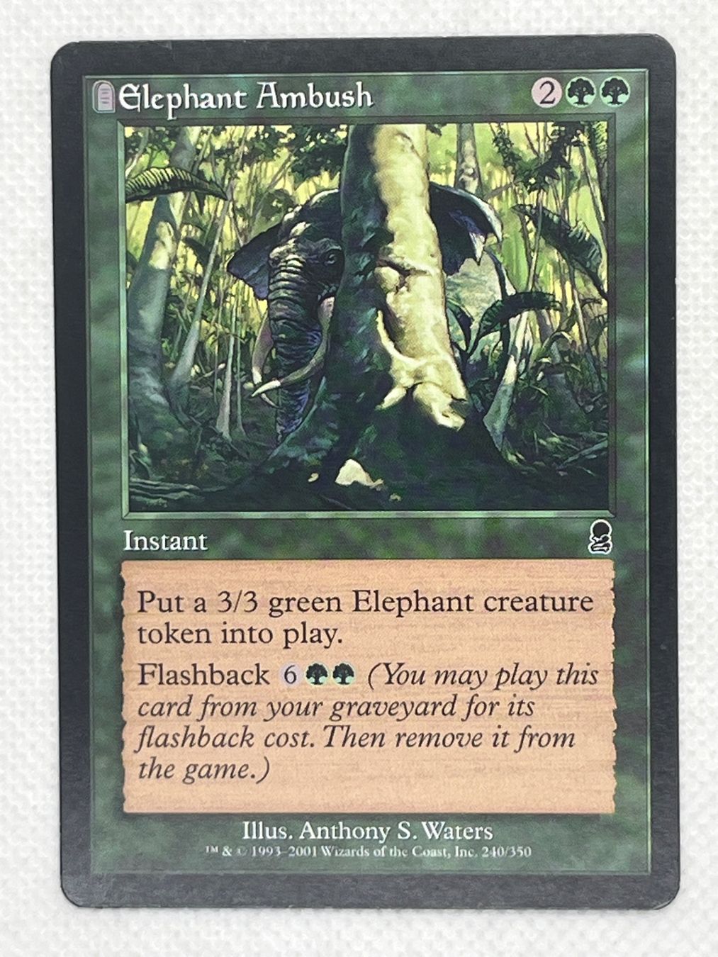 Magic The Gathering Sammelbilder & Trading cards: MTG Elephant Ambush ODY 240 Englisch Common – Gebraucht aus Hinterkappelen von Kim1992