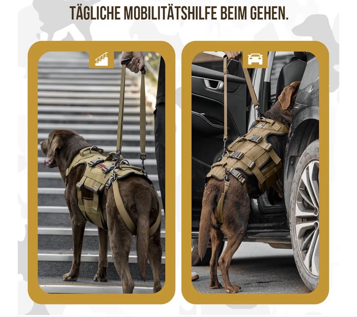 Guinzagli & Collari: Hundegeschirr One Tigris – Nuovo (secondo la descrizione) da Buchs ZH venduto da claudiac76 2