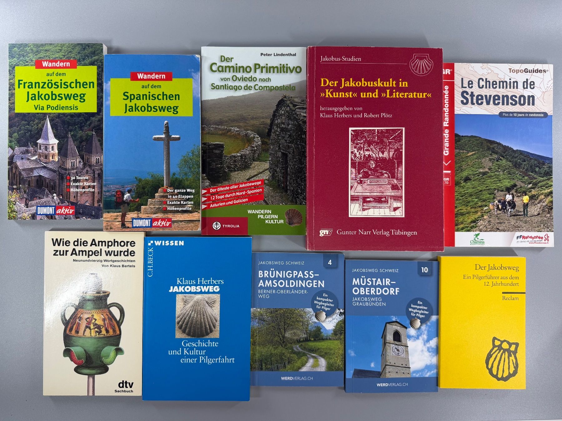 Libri: Jakobsweg Wanderführer-Set: Top Zustand – Usato da Sennhof venduto da Johnbest 9
