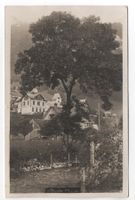 STEIN Toggenburg