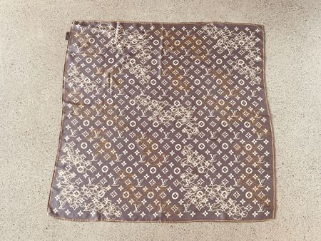 Louis Vuitton Silk Schal