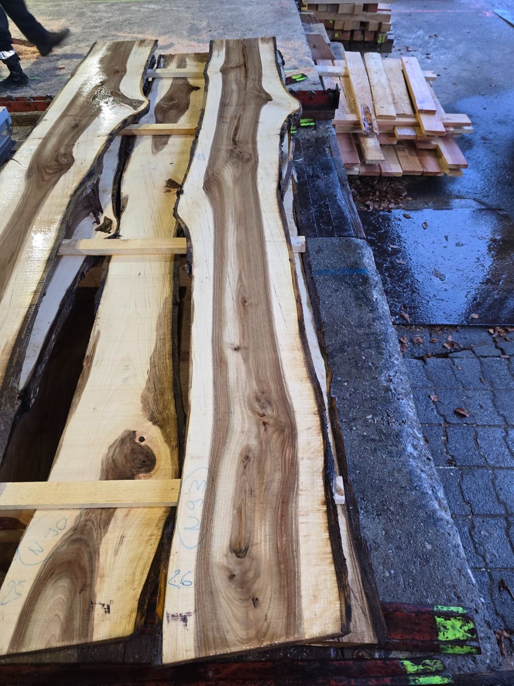 Articoli in legno: Nussbaumbrett Nr. N93 – Nuovo (secondo la descrizione) da Ramsei venduto da Waelchris