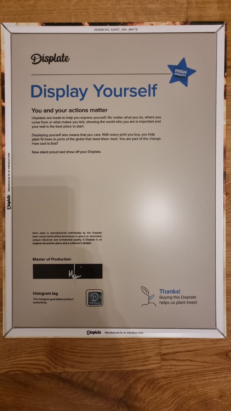 Foto & Immagini: Displate mit Dark Souls Print, limitierte Edition – Nuovo (secondo la descrizione) da Dällikon venduto da den_cs82 1