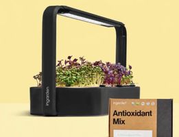 Ingarden Microgreen System schwarz mit viel Zubehör