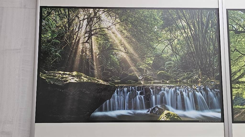 Foto & Immagini: 4 Jahreszeiten – Usato da Port venduto da sold54 1