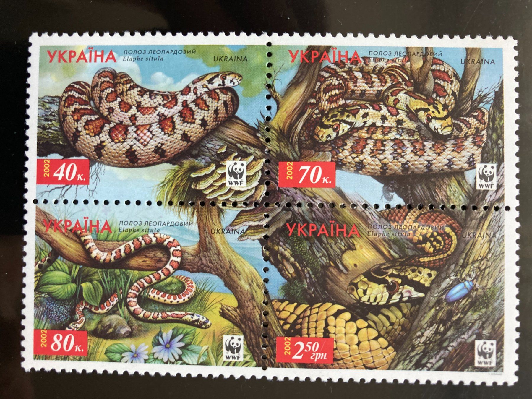 Tutti i francobolli: WWF Ukraine 2002 Satz Leopard-Natter postfrisch 4er-Block – Nuovo (secondo la descrizione) da Liestal venduto da schnueps