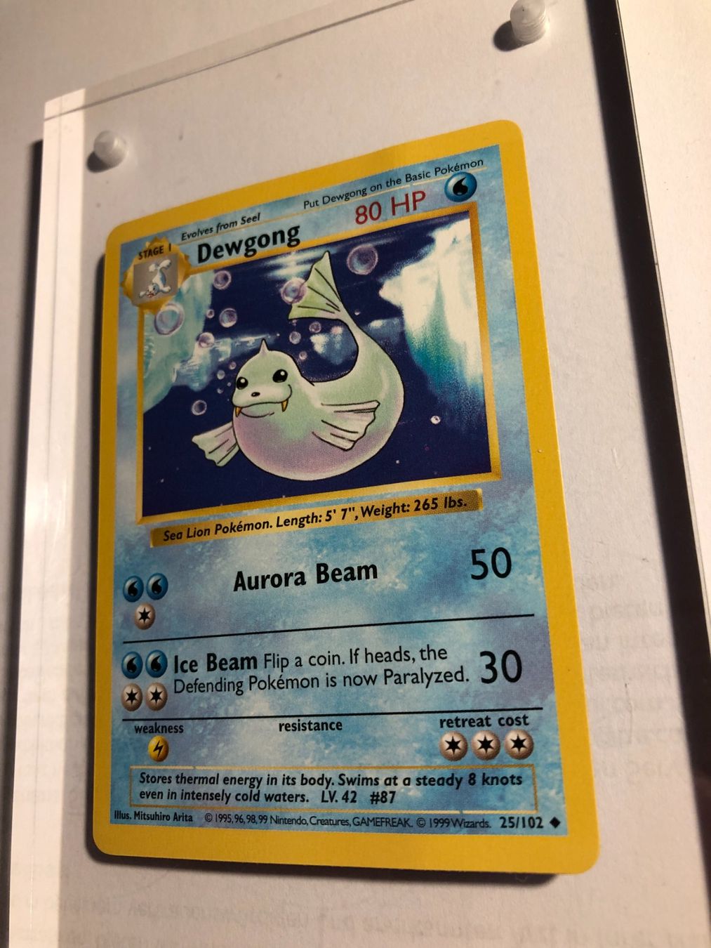 Carte collezionabili: Dewgong (uncommon) Base Set Shadowless - PL - ab 1.- – Usato da Giubiasco venduto da dan_pr8b 2