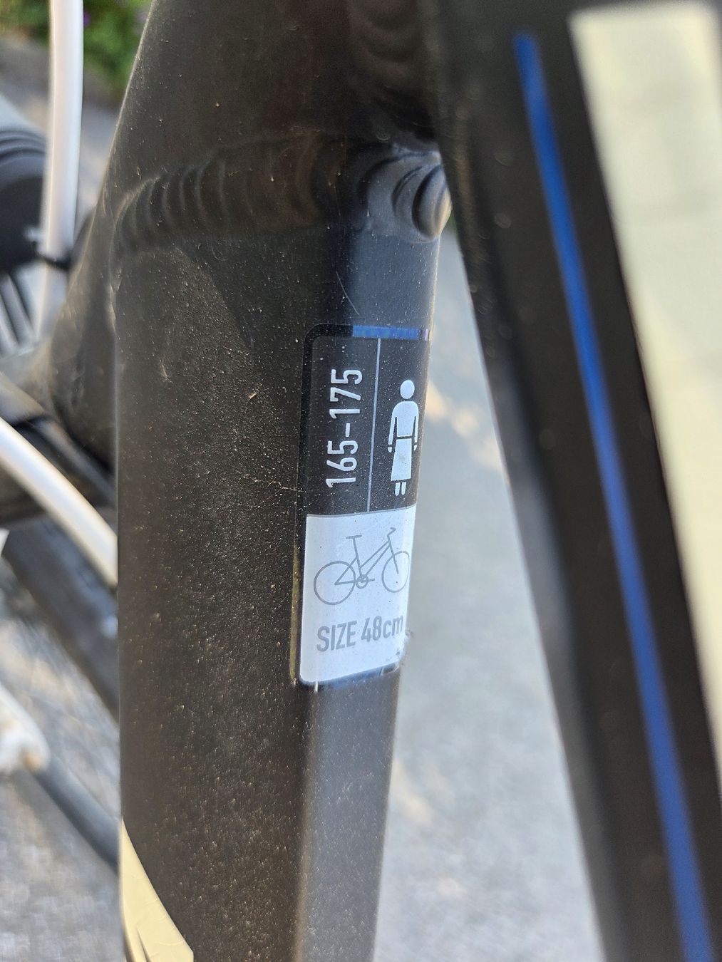 Wheeler Biciclette: WHEELER mit BionX – Usato da Tägertschi venduto da Chris0076 1