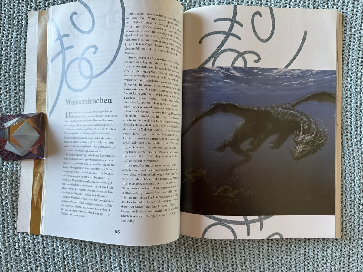 Libri: Das Buch der Drachen, Ciruelo – Usato da Eschenz venduto da Belladog 7