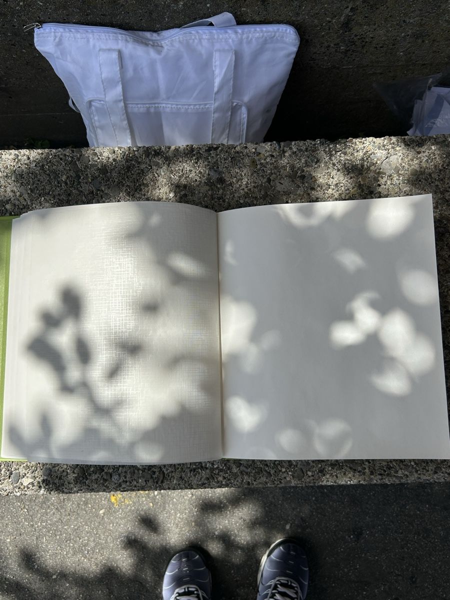 Album: Fotoalbum – Nuovo (secondo la descrizione) da Laufen venduto da Jassi.quinn 2