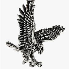 Profile image of stnz41