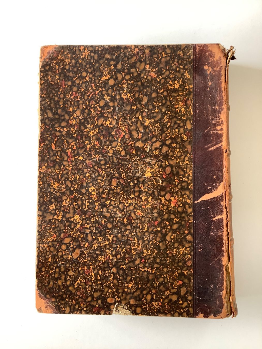 Libri: Zwei antike Bücher von 1896 – Usato da Triesen venduto da boston7 1