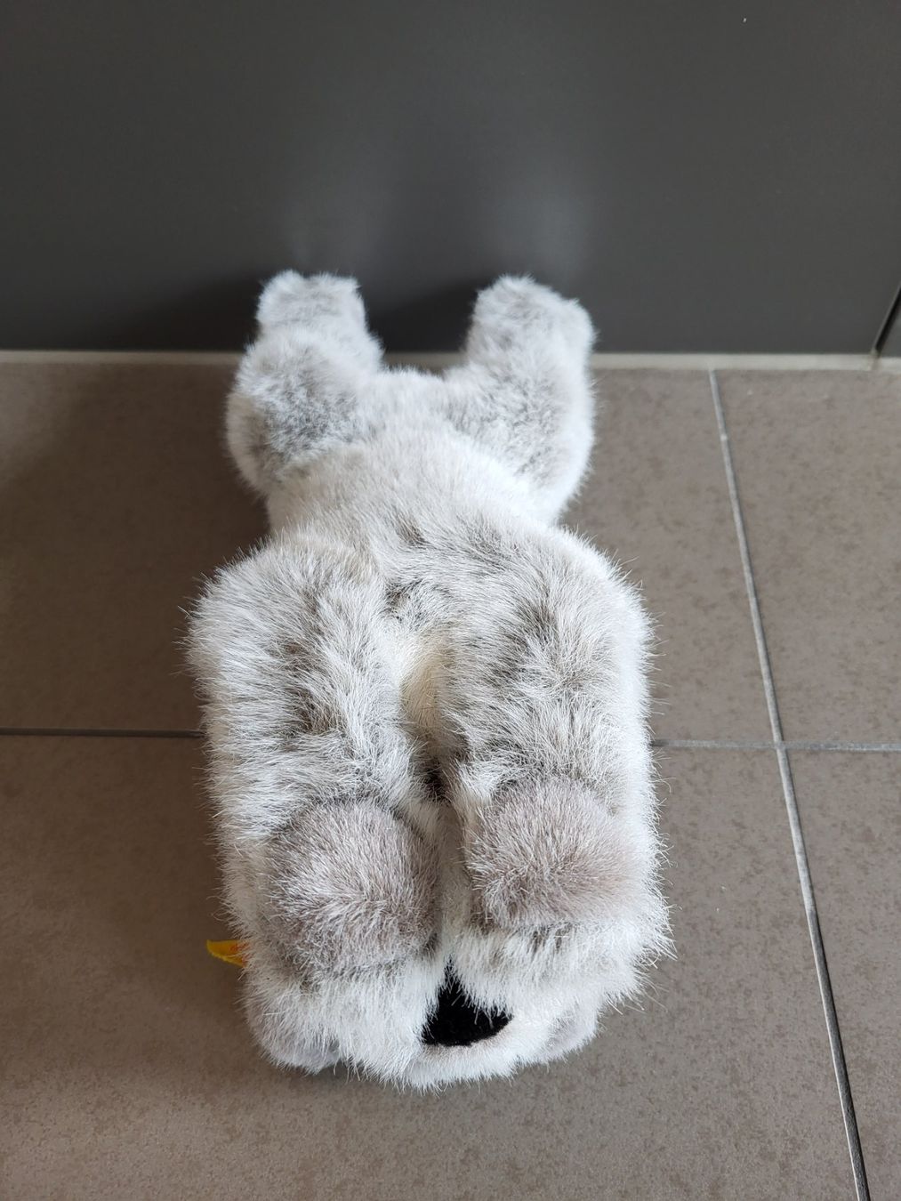 Steiff Giocattoli: Steiff Hund – Nuovo (secondo la descrizione) da Zürich venduto da Orchidee 2