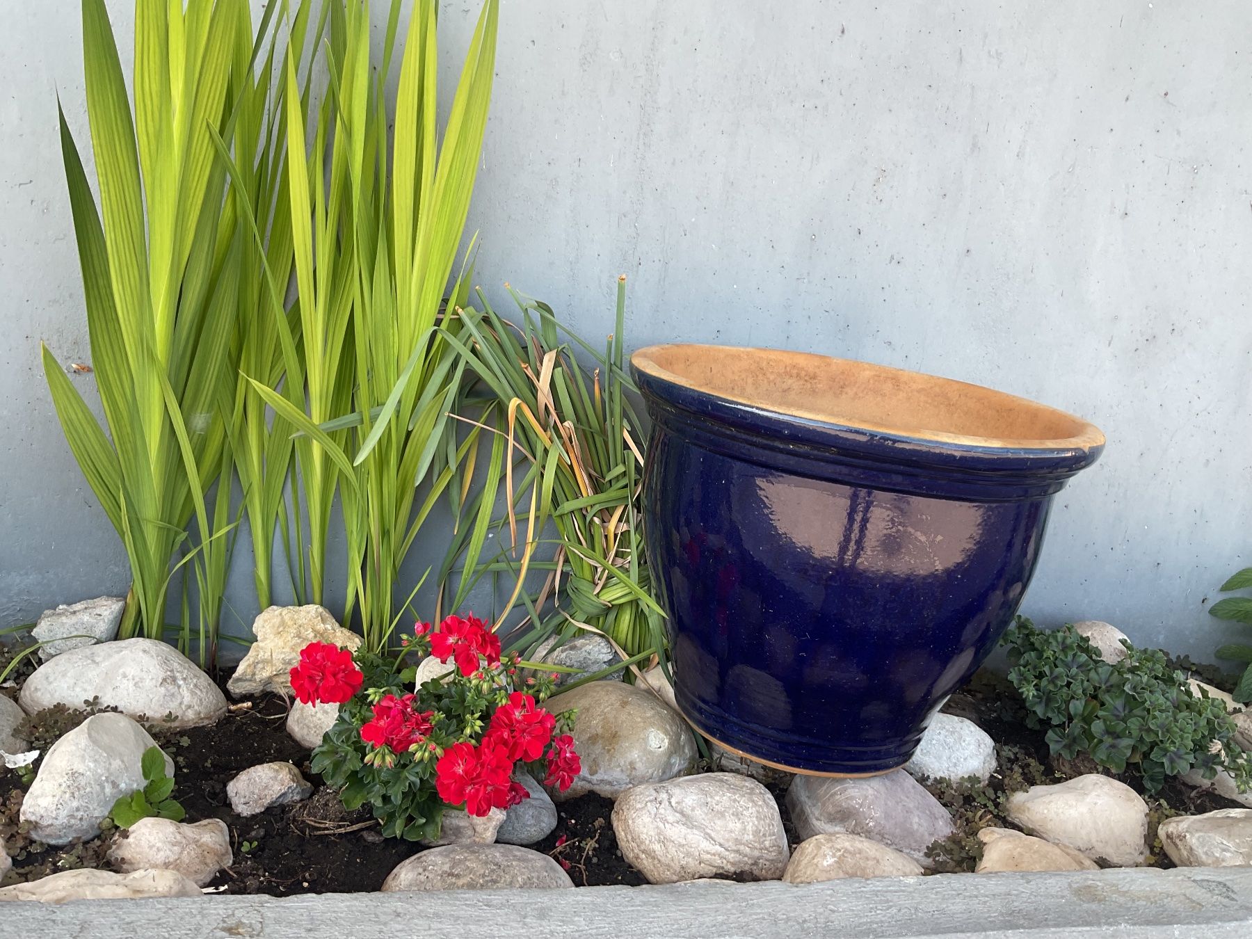 Vasi per fiori: Pot de fleurs en terracotta émaillée – Usato da Neuchâtel venduto da sta_7qfy 2