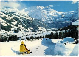 2x AK LENK
