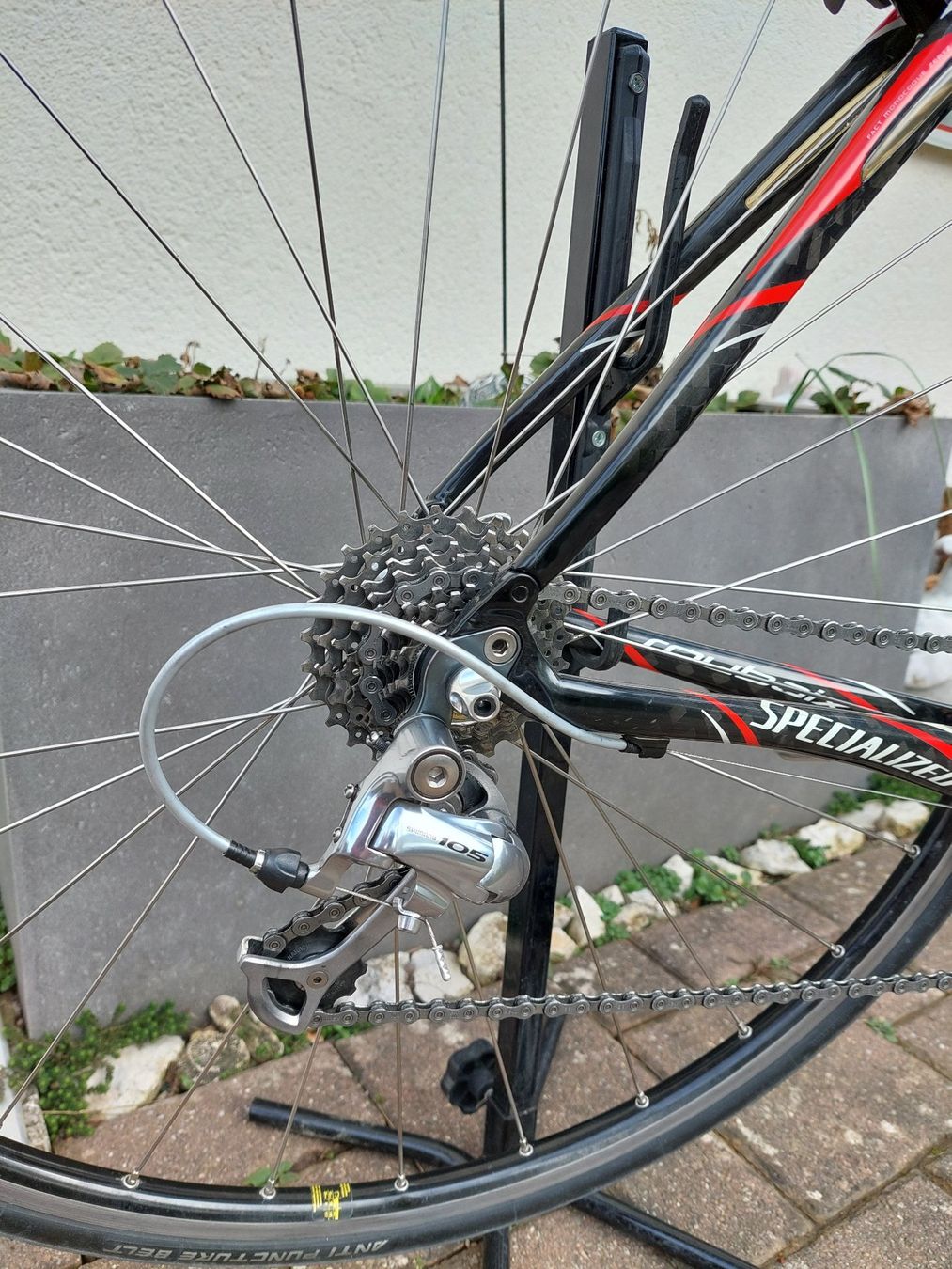 Specialized Velos: Rennvelo Specialized Roubaix Comp – Gebraucht aus Henggart von  5