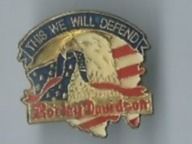 Harley-Davidson Pin