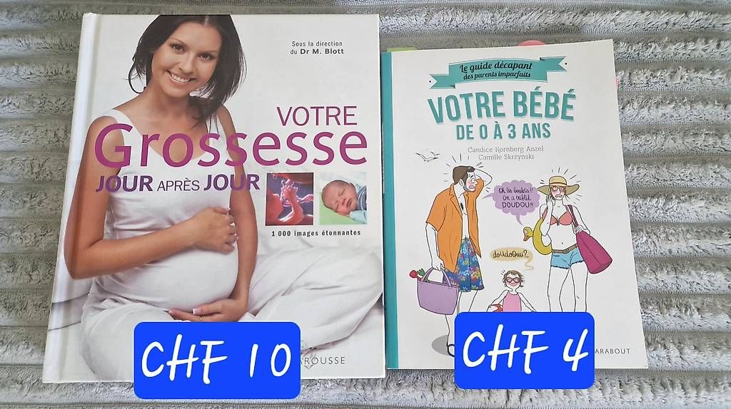 Libri: Gravidanza e bebè 2 libri in francese – Usato da Solduno venduto da mar_j29s
