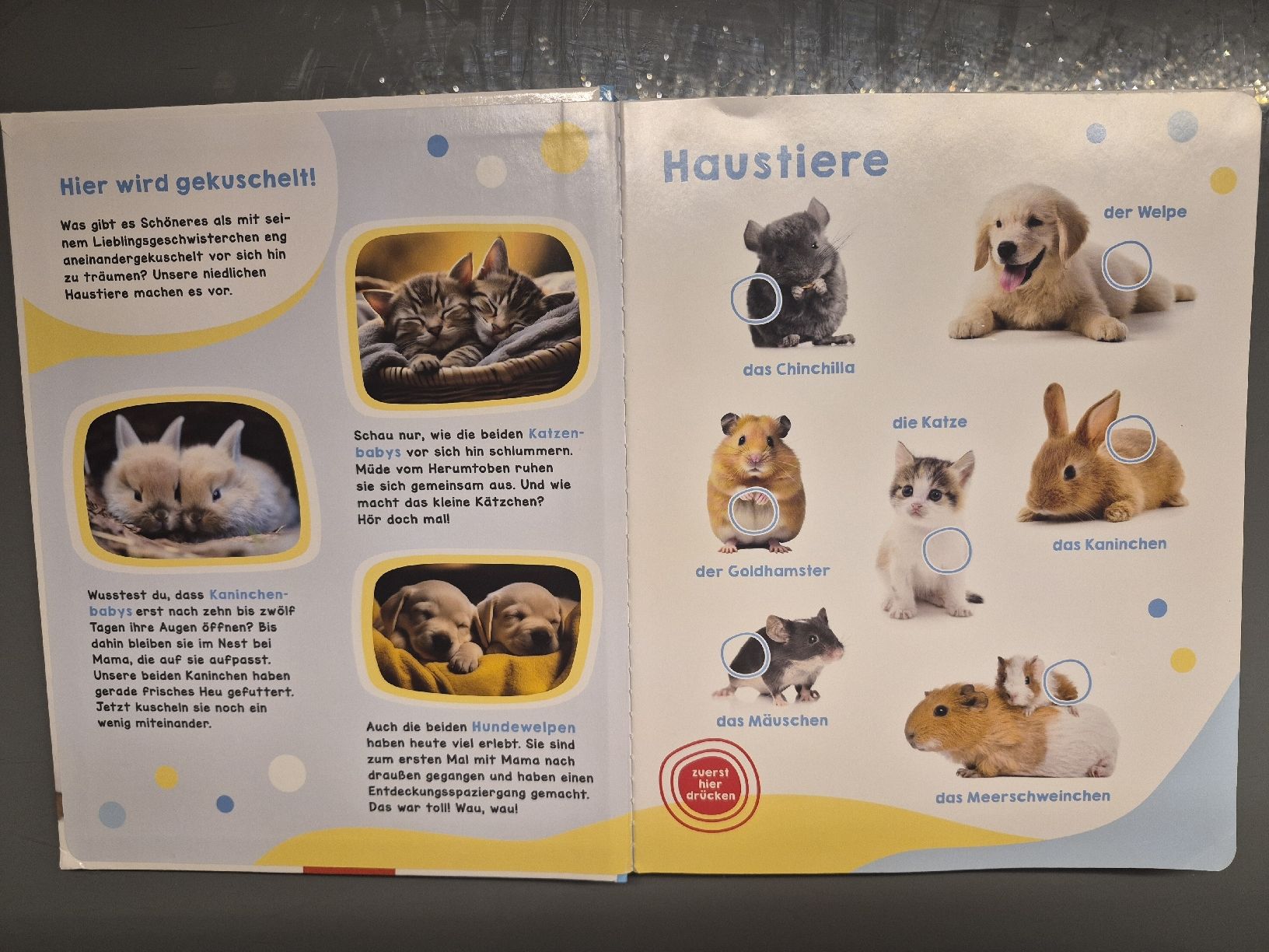 Libri: Geräuschebuch Tierbabys mit 46 Sounds - Spielend Deutsch – Usato da Selzach venduto da Paradiso89 1