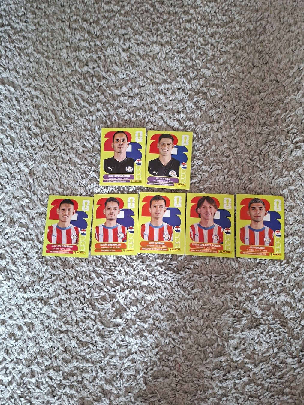 Panini Cartes à collectionner: paninisticker paraguay – Neuf (Voir description) à Herisau par Schruber77