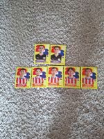 paninisticker paraguay