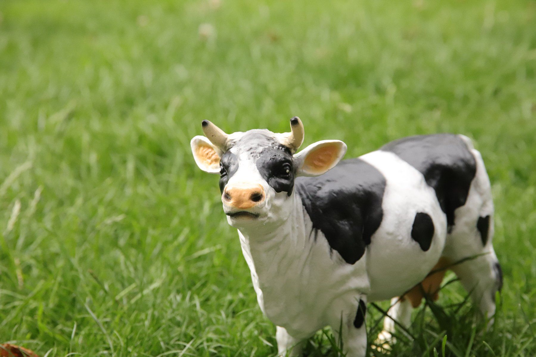 Statuette: (COPIE) Petite vache en résine – Nuovo e nell'imballaggio originale da courtételle venduto da capsule05 3