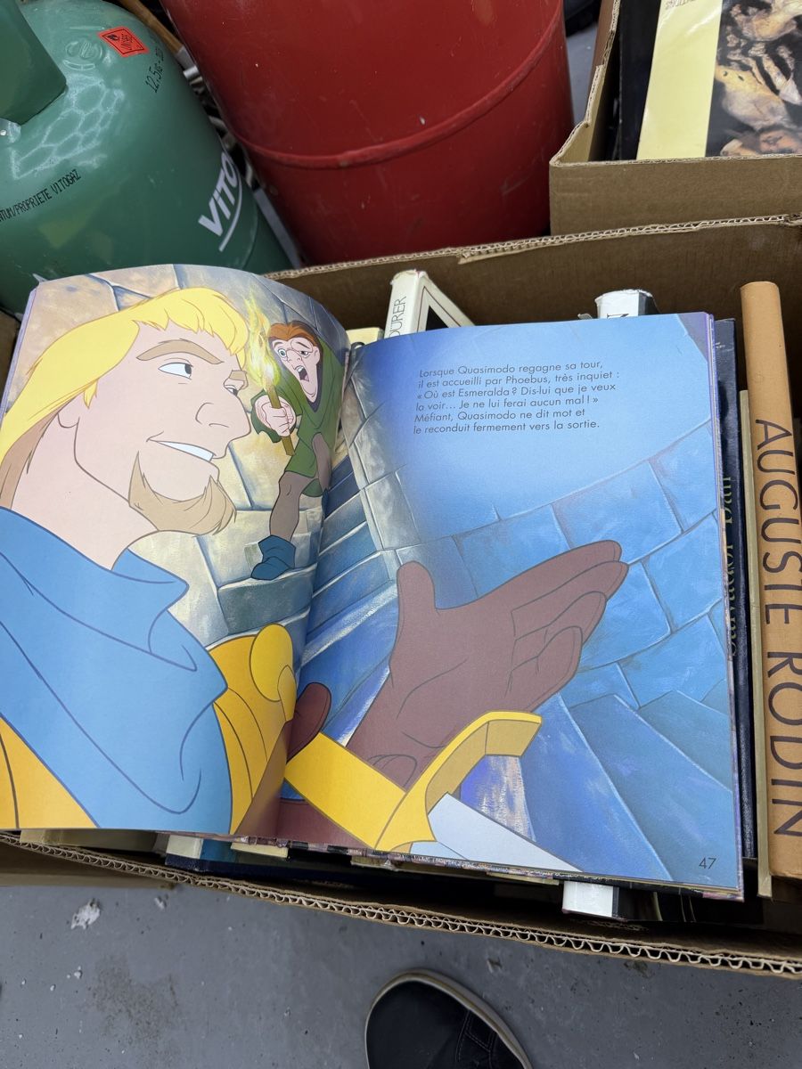 Fumetti: Le Bossu de Notre-Dame Disney 1995 – Usato da Wettingen venduto da NickInc 3