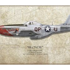 Profile image of Warbird
