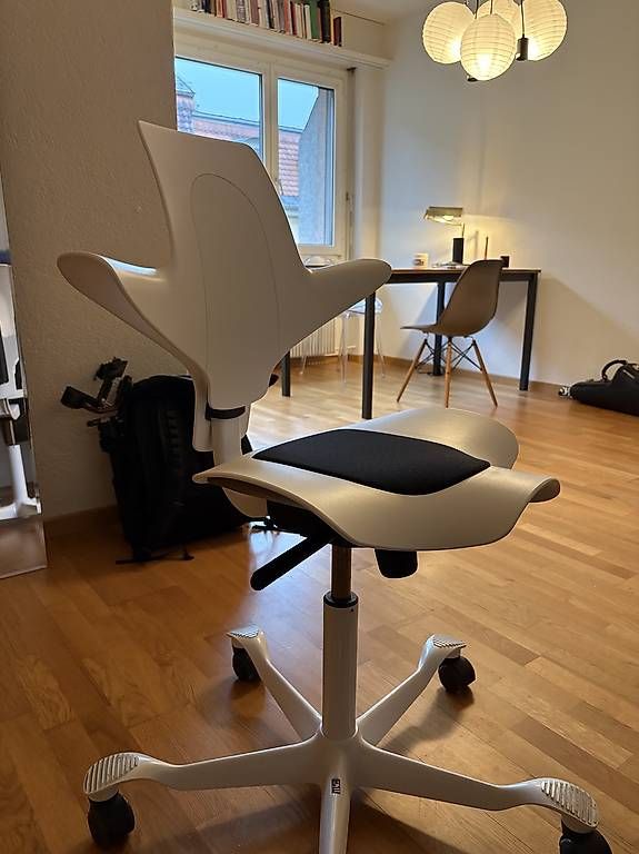 Sedie: Haag Capisco ergonomischer Bürostuhl – Usato da Bern venduto da Baumwall