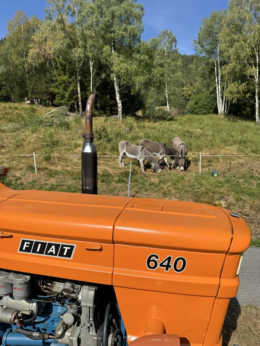 Fiat Trattori: Fiat 640 – Usato da Biasca venduto da mau_jyn2 5