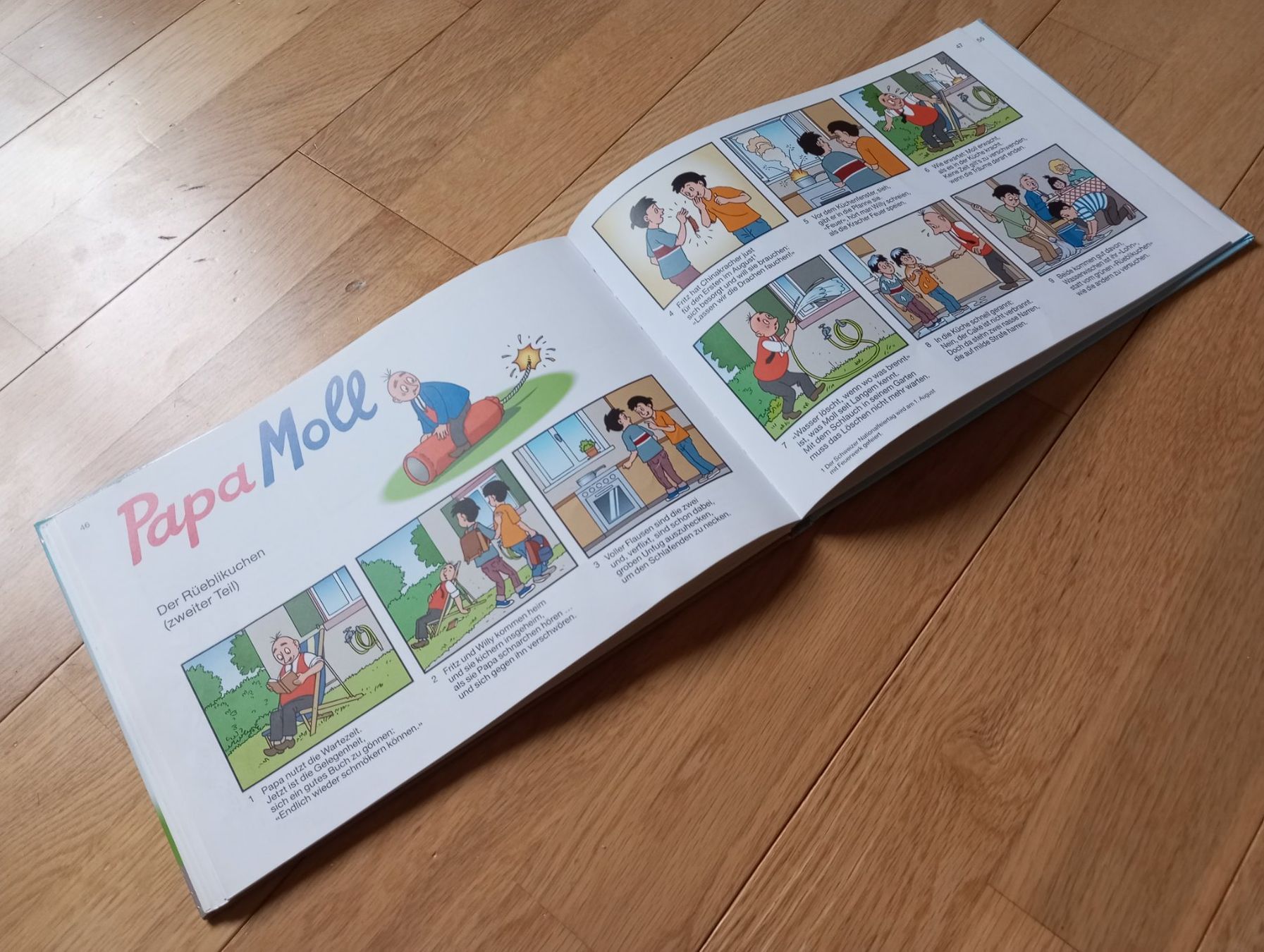 Libri: Papa Moll Band 29 – Usato da Schüpfheim venduto da Chutney4u 2