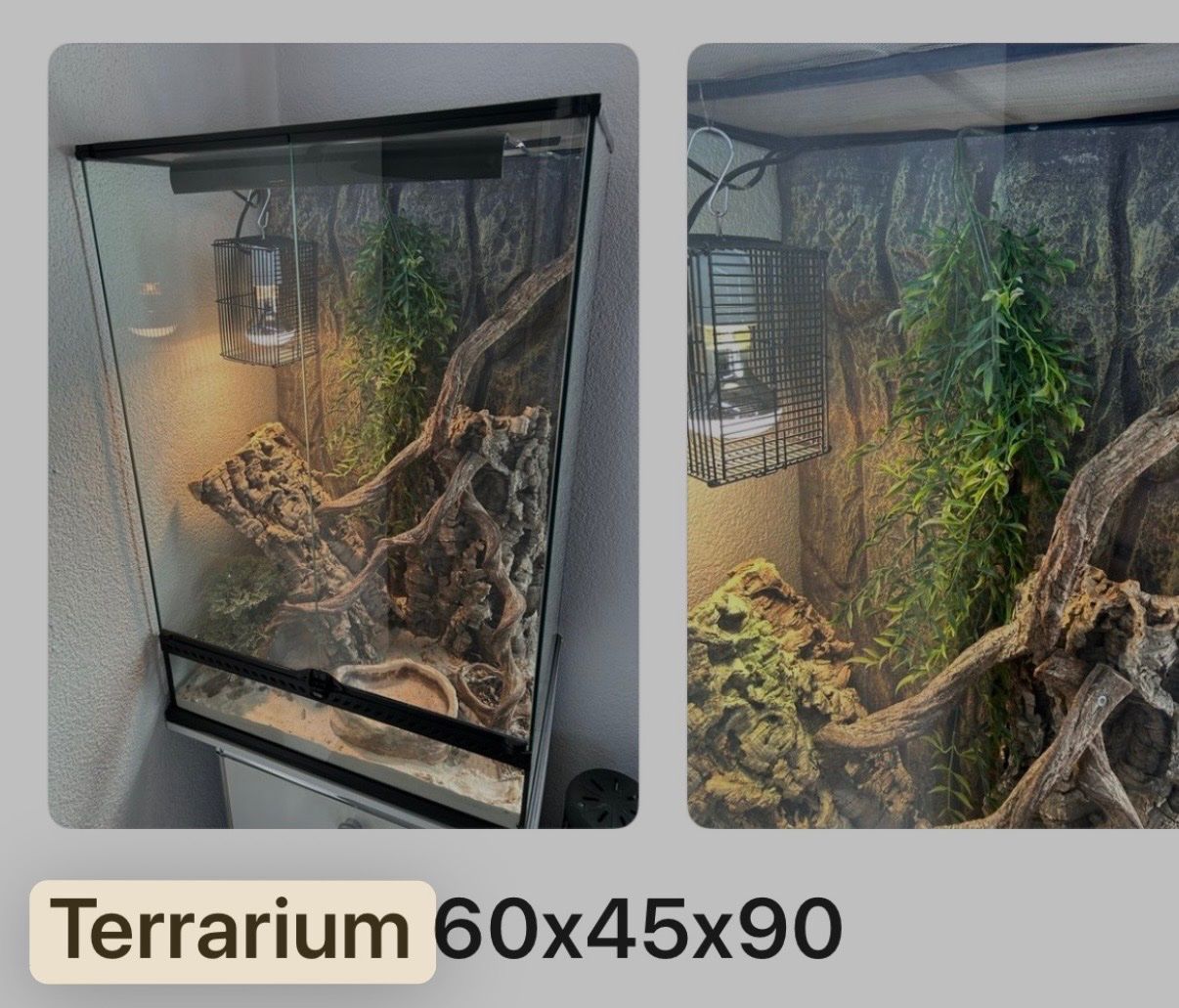 Exo terra Terrario: Terrarium – Usato da Münsingen venduto da Fullspeed0