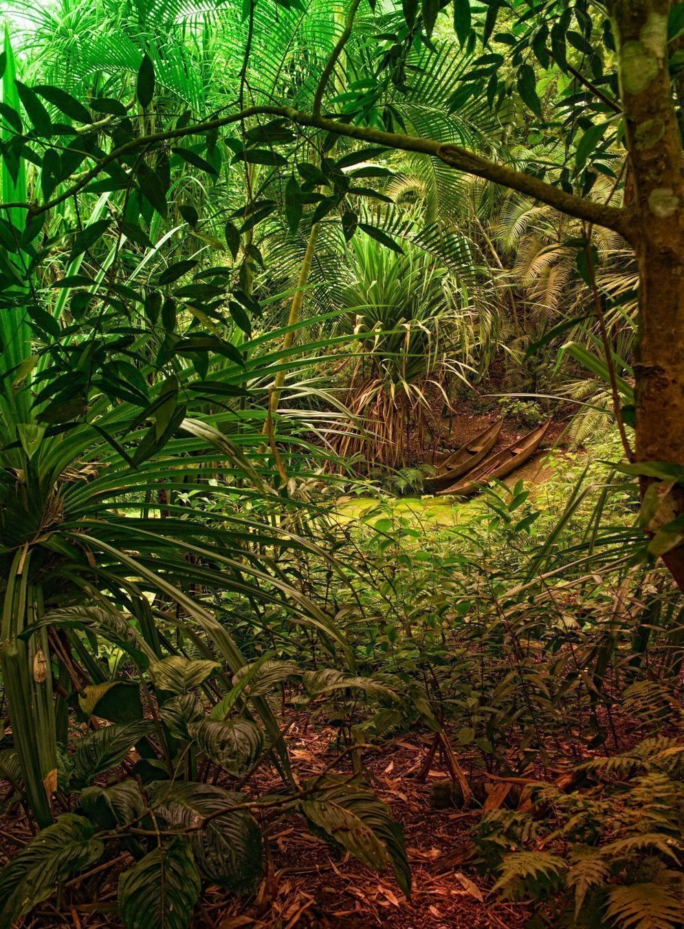 Foto & Immagini: Leinwandbild MASOALA 50x70cm – Nuovo e nell'imballaggio originale da Schwanden GL venduto da FOTO-GALL