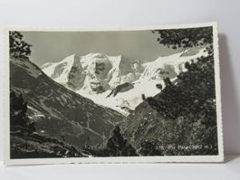 Piz Palü  1954