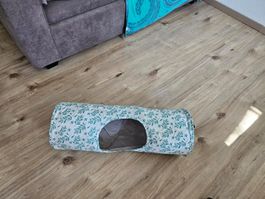 Lot de jeux pour chat / Katzen-Spielset