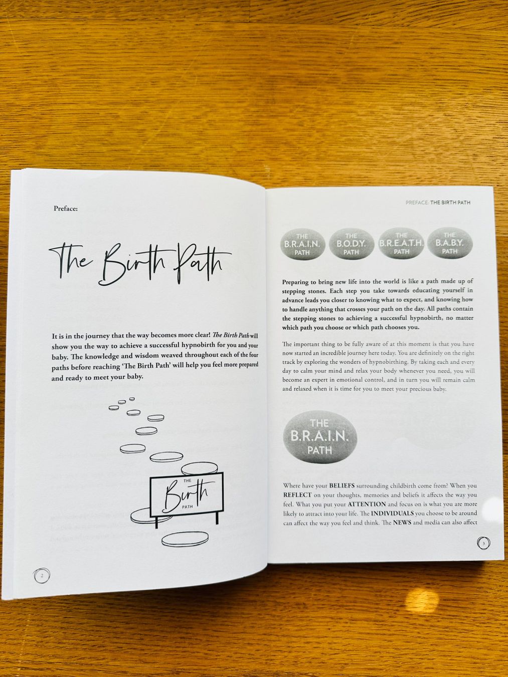 Libri: The Birth Path: Conquer your pregnancy anxiety – Usato da Wohlenschwil venduto da Yola_ 3
