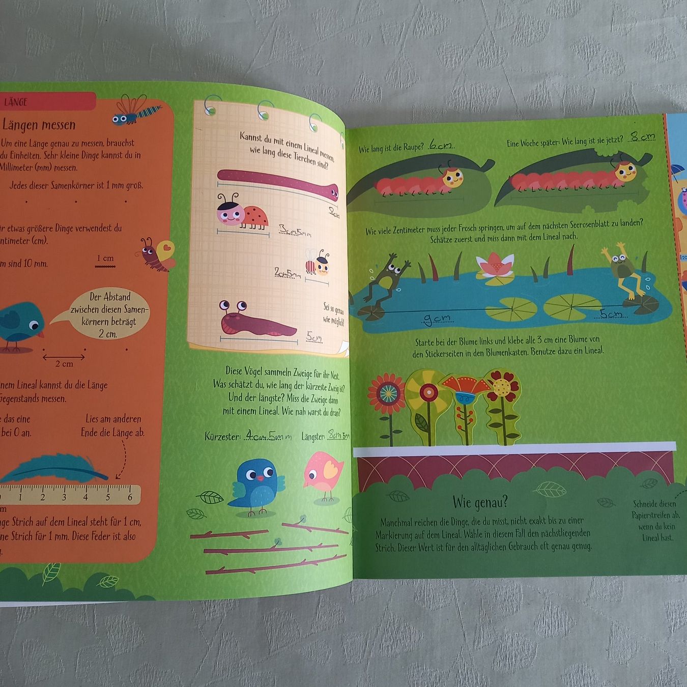 Libri: Masse und Gewichte visuelles Lernen – Usato da Brüttisellen venduto da kikaninchen79 2