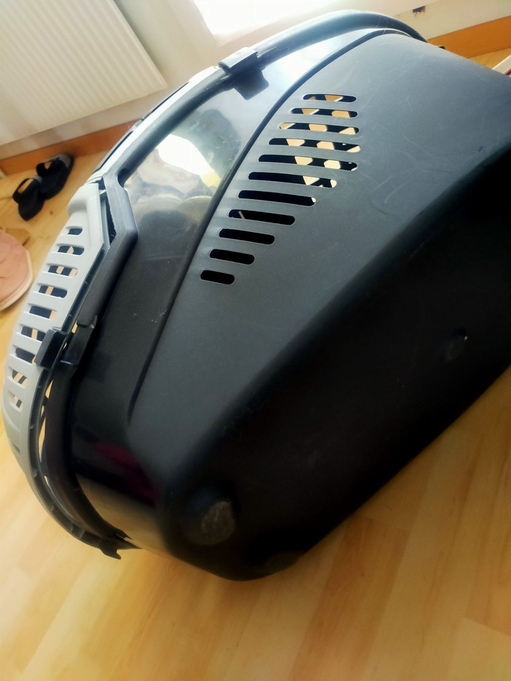 Cucce & Letti: XXL Tiertransporter – Usato da Tägerig venduto da mikky02 3