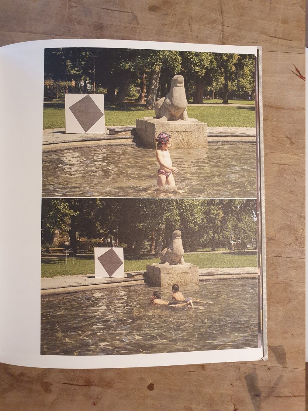 Libri: Dem Bild die Welt zeigen Werner Mutzenbach Scheidegger & Spi – Usato da Zürich venduto da loosebone 3